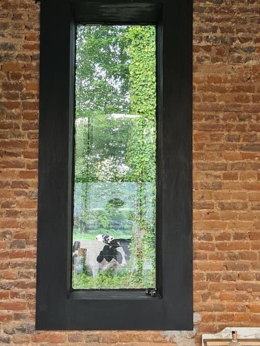 Chateau D'Humieres - Casa Clementine Εξωτερικό φωτογραφία